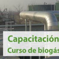 Novedades