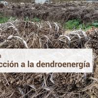 Novedades
