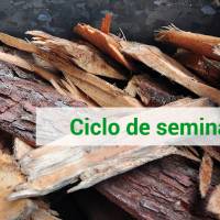 Novedades
