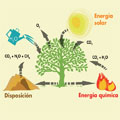 Becas en Biogás