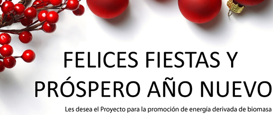 Felices Fiestas