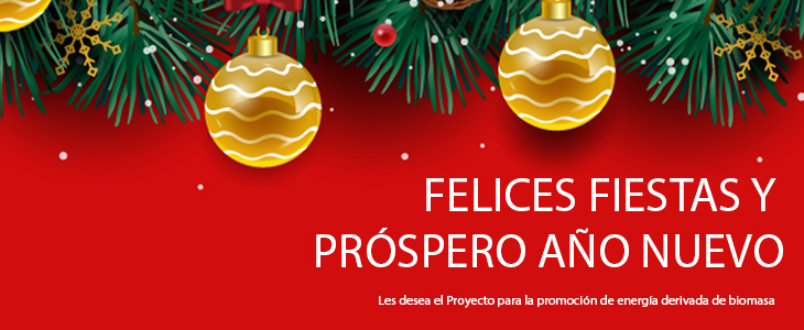 Felices Fiestas